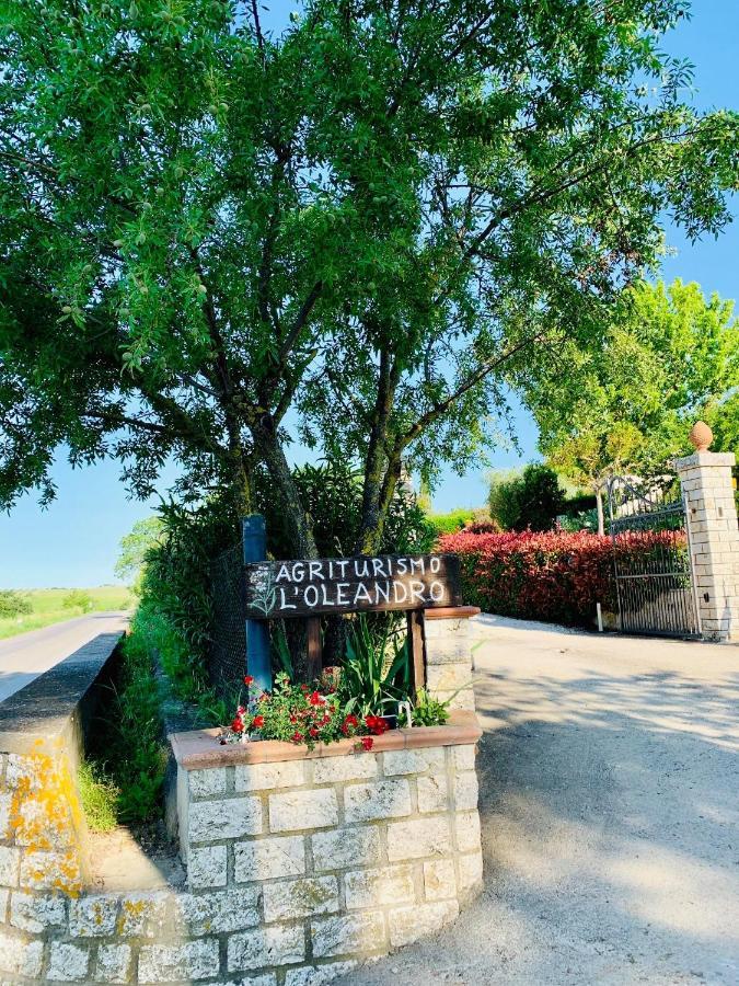 8380 Agriturismo L'Oleandro Montemerano Εξωτερικό φωτογραφία